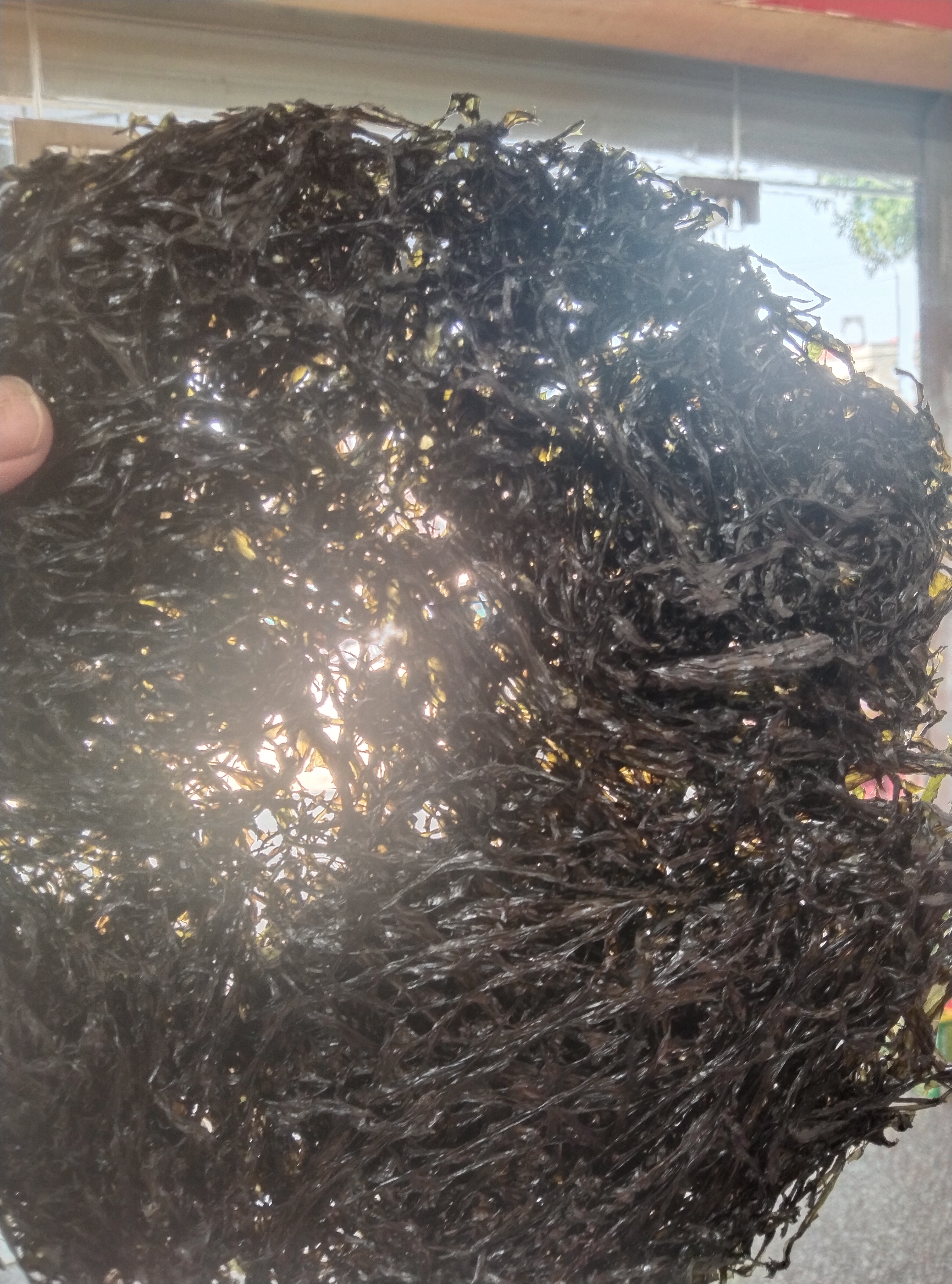 福建特产头水紫菜干无沙无盐免洗细嫩鲜甜煲汤海鲜干货