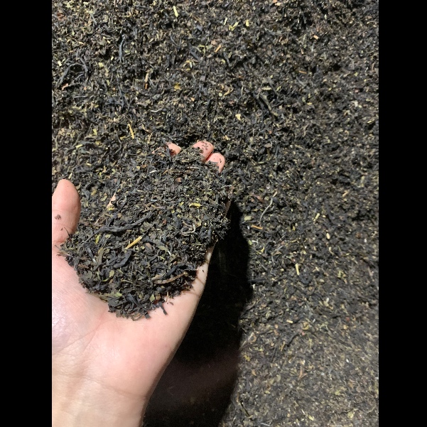 凤凰单丛茶茶包1000克