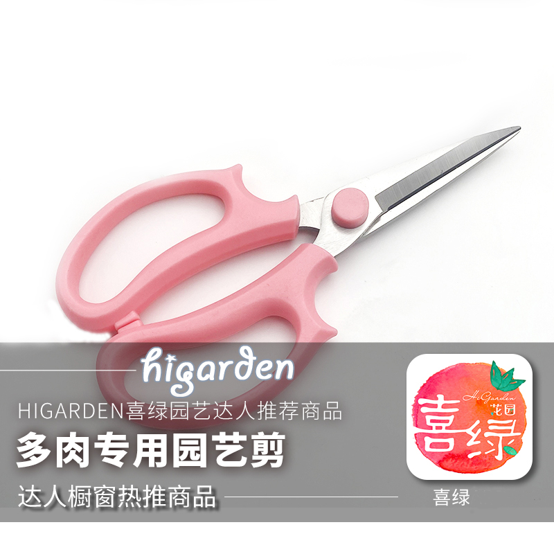 【茹烟嫣宇】多肉园艺剪花艺师专用剪植物花卉修枝剪鲜花剪刀A