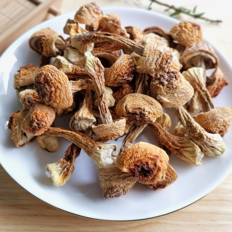 云南大山特产姬松茸100g-250g-500g无硫煲汤农产品营养