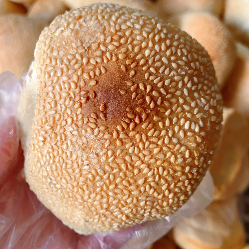 福州特产光饼10个福清光饼无馅 