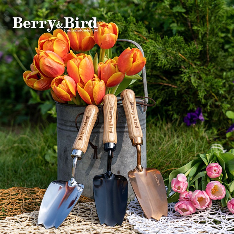 种花王大爷官方旗舰店小铲子种花工具家用小铁铲养花bb园艺工具