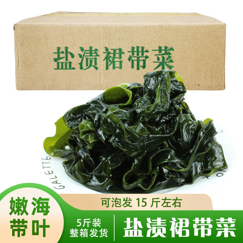大连盐渍裙带菜火锅凉拌煲汤整箱5斤