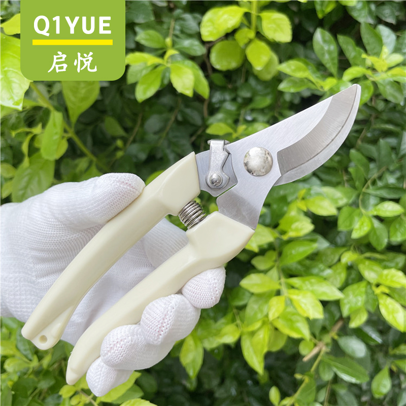 园艺修枝剪省力剪枝修剪工具园林果剪剪刀果树植物粗枝树枝花艺
