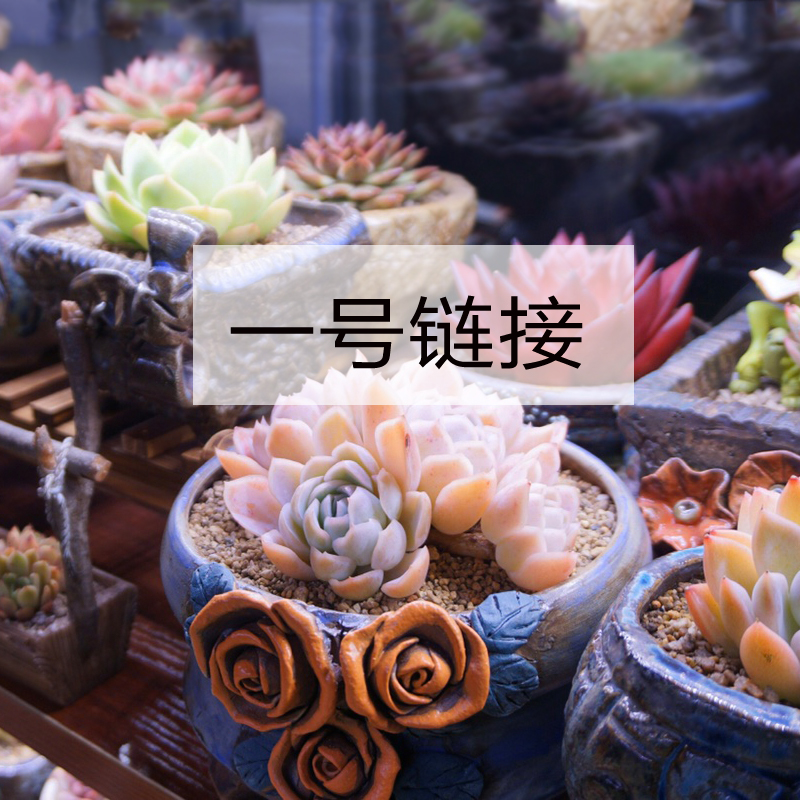 一号链接  直播花盆  陶然花器厂家直销  手工粗陶多肉花盆花器