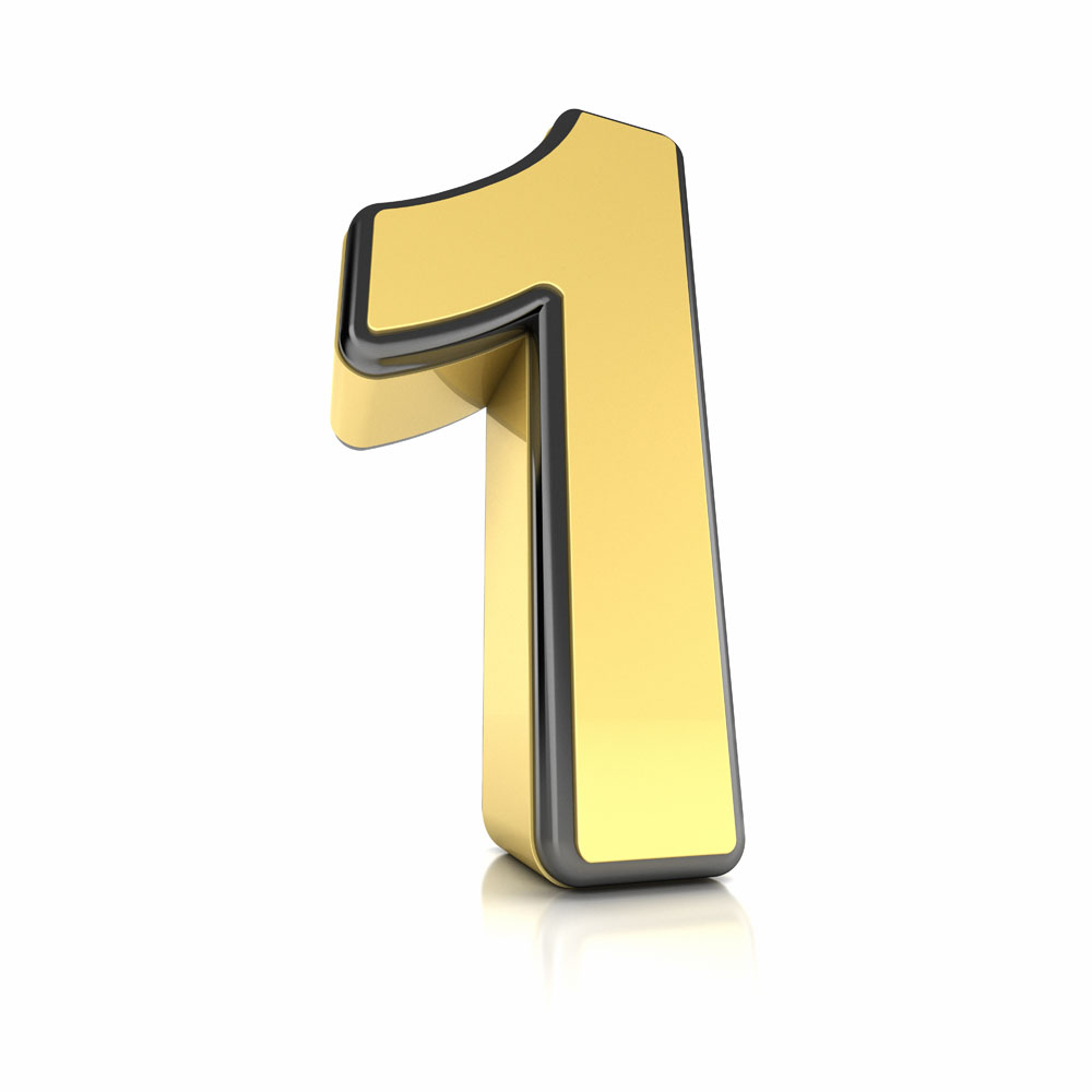 1.3植物简单1000-1099空气精品仙人掌净化防辐射黄色土培多