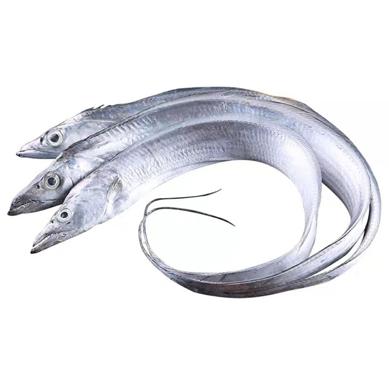 【破肚带鱼】舟山新鲜油带鱼破肚体验装5斤 天然肉厚破肚，介意慎拍！