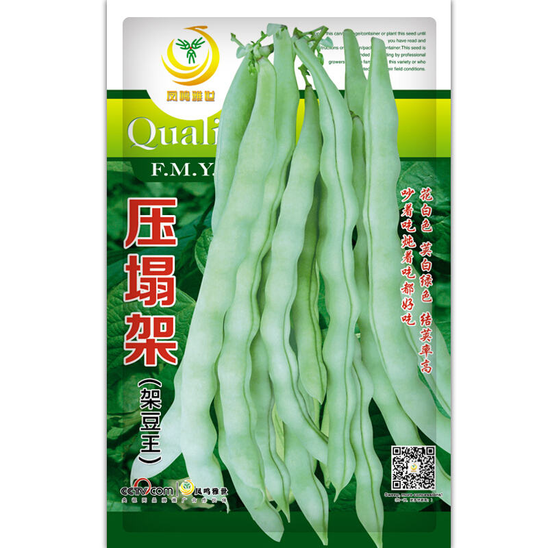 凤鸣雅世四季豆种子压塌架架豆种籽芸豆菜豆青豆高产春季秋冬种籽