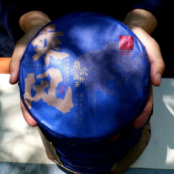 单饼福海茶厂2021年乘风易武高杆茶 357克生茶云南普洱茶香气高扬