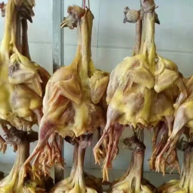 【朝霞姐土特产】农家土公鸡当年的土公鸡